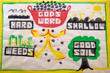 bruce sketcboard training